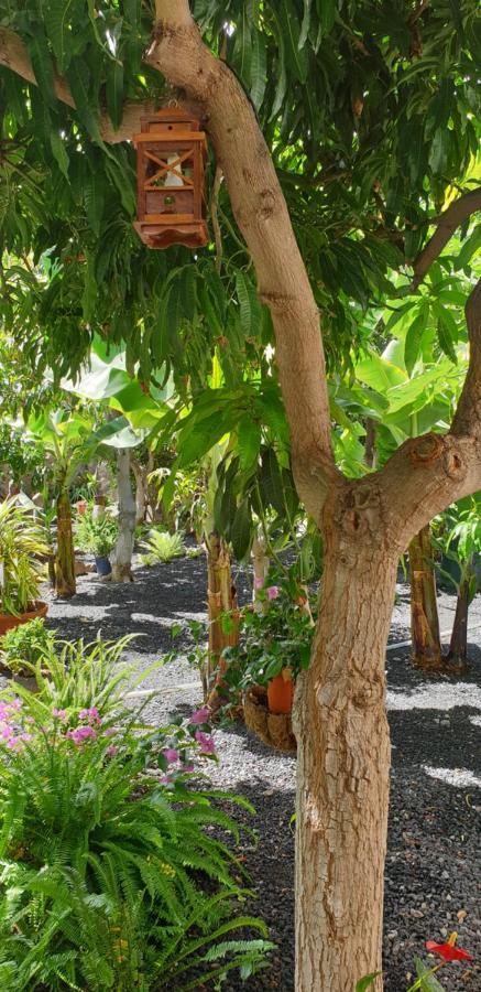 Finca Borbolan Y La Roseta فايي غران ري المظهر الخارجي الصورة
